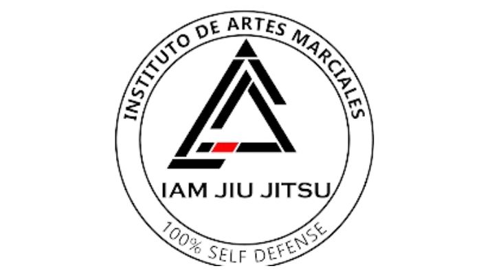 instituto de artes marciales
